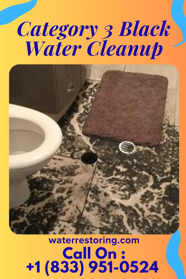Category 3 Black Water Cleanup in St. Charles, MO